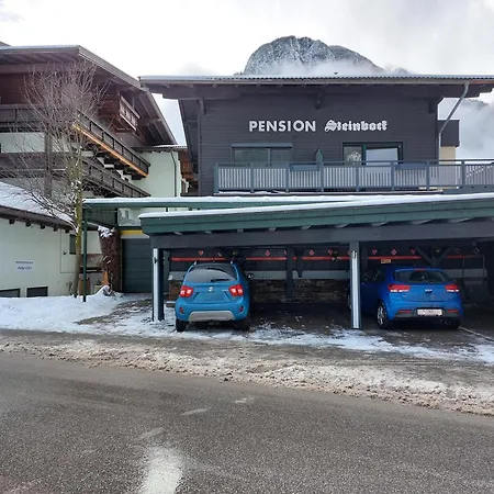 住宿加早餐酒店 Haus Steinbock 3*